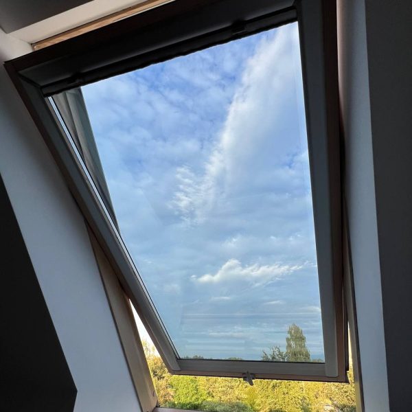 photo_5944955369208005535_y