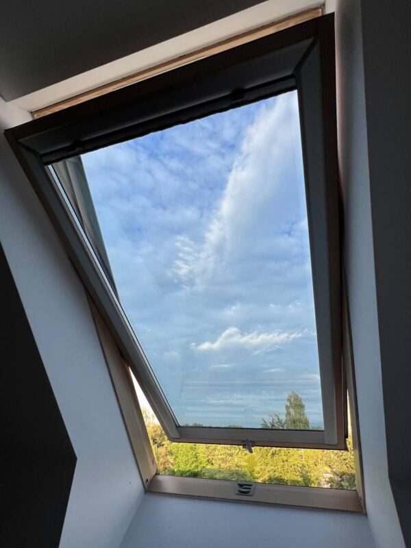 photo_5944955369208005535_y